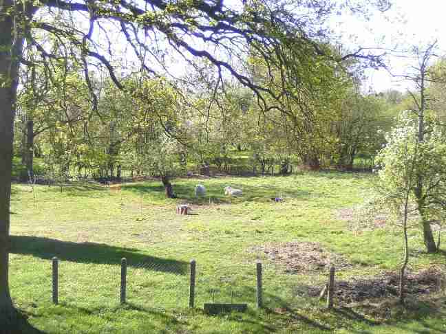 Feldenkrais Funktionale Integration Raum Ausblick