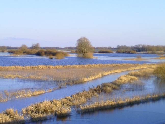 Feldenkrais Wendland L&uuml;chow Dannenberg